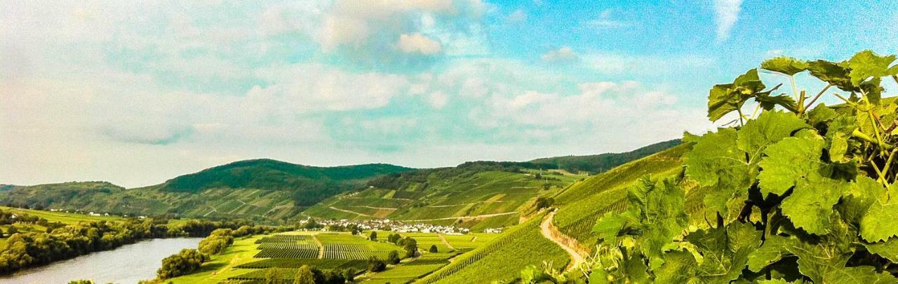 Gaestehaus Weingut Meierer Kesten Bagian luar foto